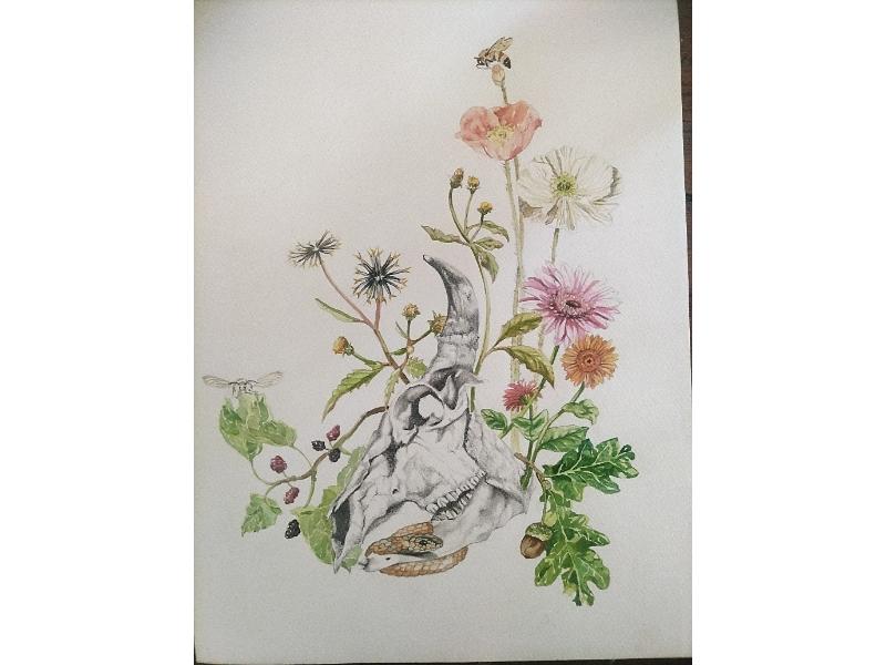 image016