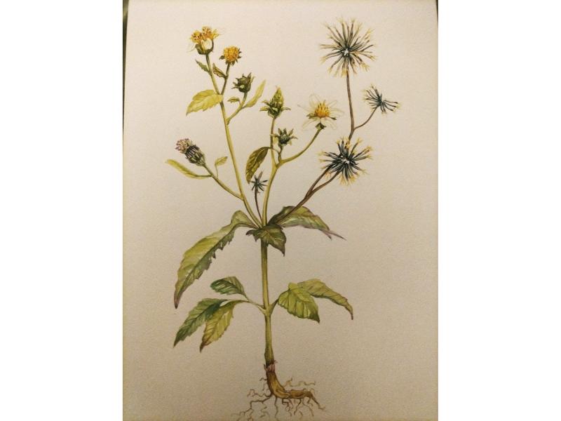 image017