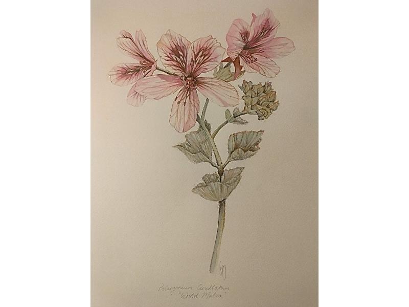 image019