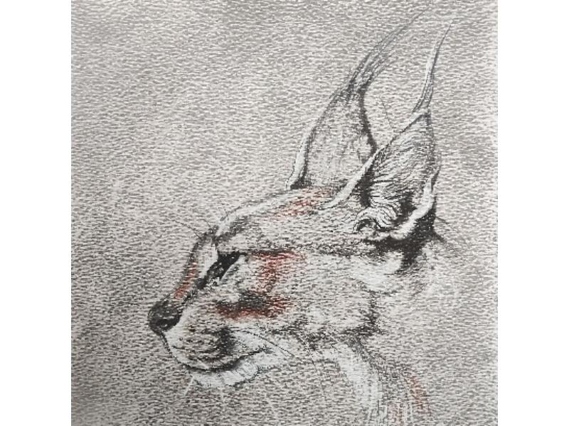 image021
