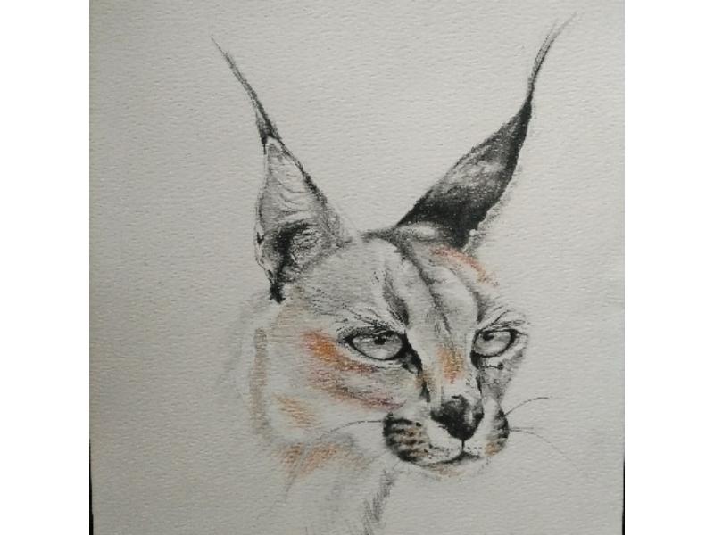image022